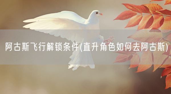 阿古斯飞行解锁条件(直升角色如何去阿古斯)(图1) 阿古斯飞行解锁条件(直升角色如何去阿古斯)(图1)