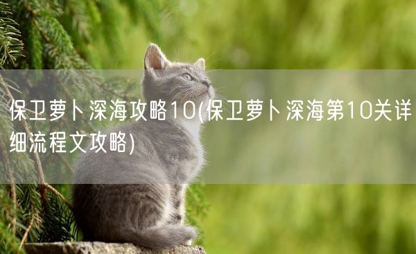 保卫萝卜深海攻略10(保卫萝卜深海第10关详细流程文攻略)(图1)