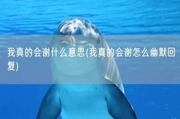 我真的会谢什么意思(我真的会谢怎么幽默回复)(图1)