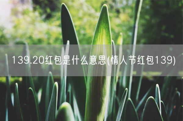139.20红包是什么意思(情人节红包139)(图1) 139.20红包是什么意思(情人节红包139)(图1)