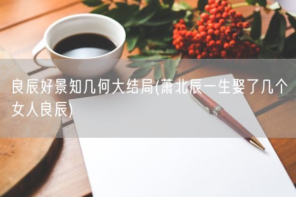 良辰好景知几何大结局(萧北辰一生娶了几个女人良辰)(图1)