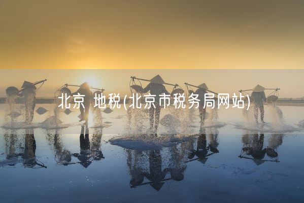 北京 地税(北京市税务局网站)(图1)