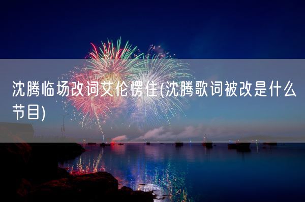 沈腾临场改词艾伦愣住(沈腾歌词被改是什么节目)(图1)