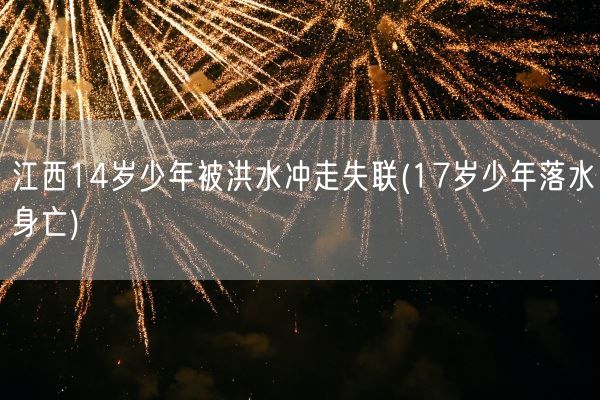 江西14岁少年被洪水冲走失联(17岁少年落水身亡)(图1)