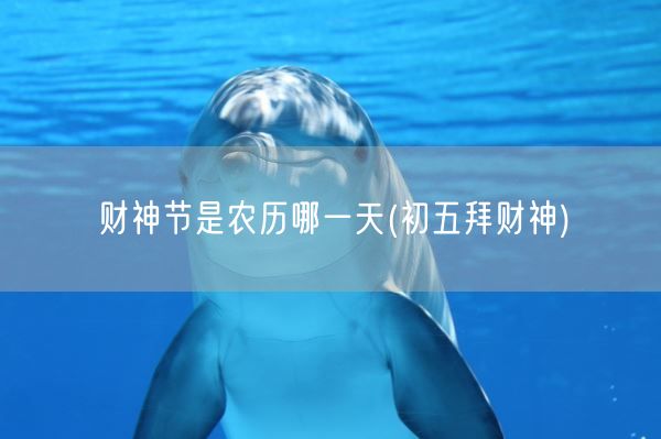 财神节是农历哪一天(初五拜财神)(图1)