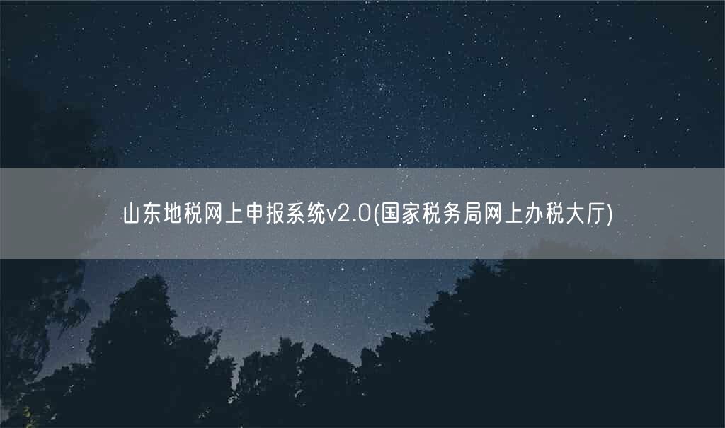 山东地税网上申报系统v2.0(国家税务局网上办税大厅)(图1)