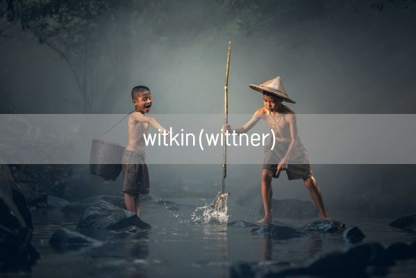 witkin(wittner)(图1)