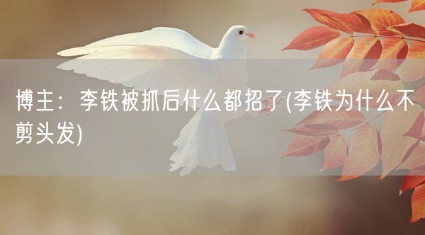 博主：李铁被抓后什么都招了(李铁为什么不剪头发)(图1)