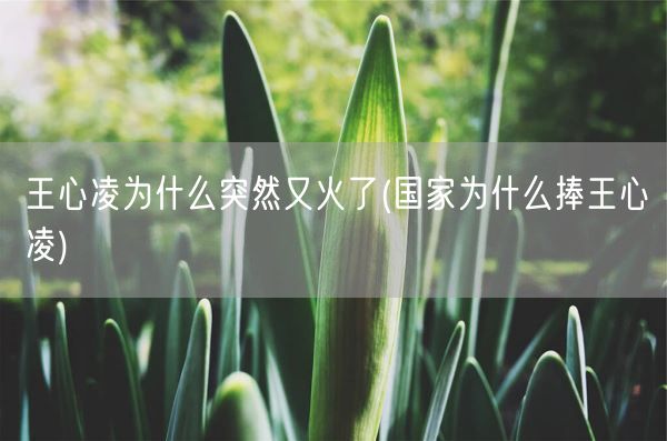 王心凌为什么突然又火了(国家为什么捧王心凌)(图1)