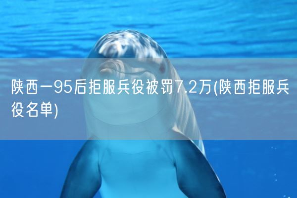 陕西一95后拒服兵役被罚7.2万(陕西拒服兵役名单)(图1)