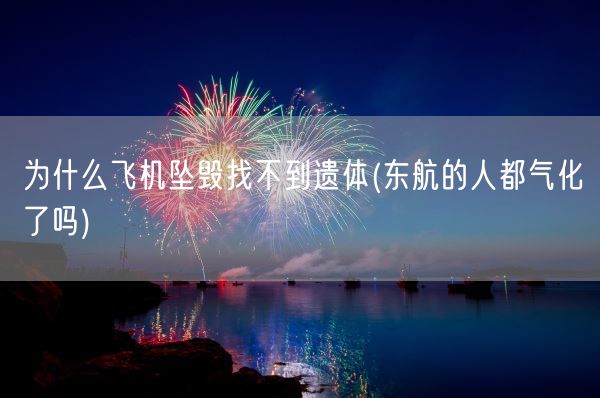 为什么飞机坠毁找不到遗体(东航的人都气化了吗)(图1)