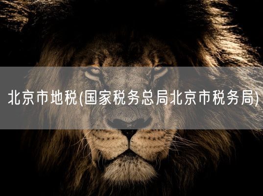 北京市地税(国家税务总局北京市税务局)(图1)