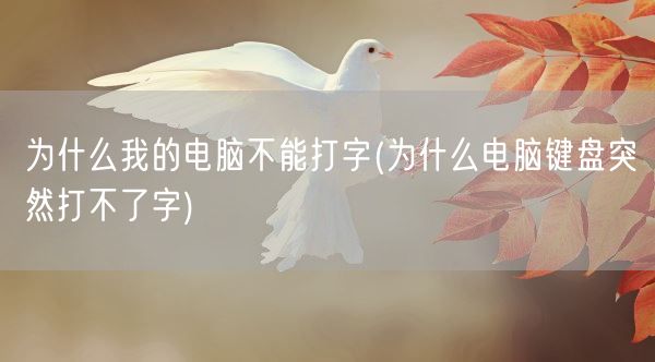 为什么我的电脑不能打字(为什么电脑键盘突然打不了字)(图1)