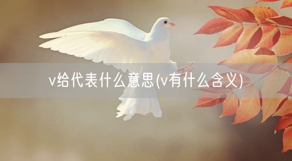 v给代表什么意思(v有什么含义)(图1)