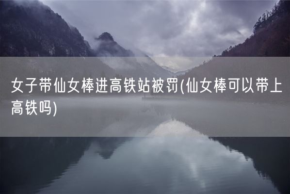 女子带仙女棒进高铁站被罚(仙女棒可以带上高铁吗)(图1)