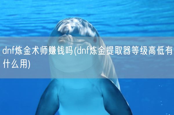 dnf炼金术师赚钱吗(dnf炼金提取器等级高低有什么用)(图1)