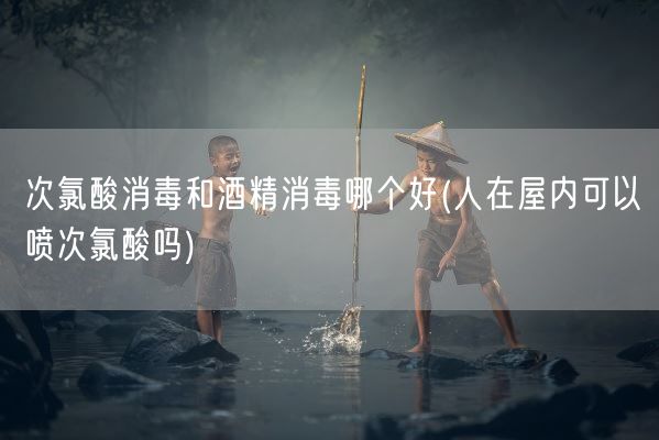 次氯酸消毒和酒精消毒哪个好(人在屋内可以喷次氯酸吗)(图1)