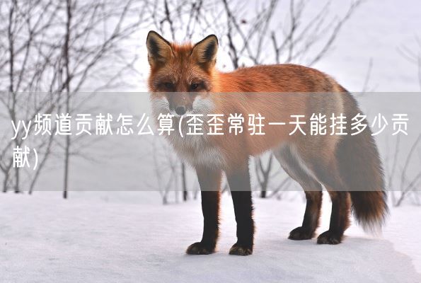 yy频道贡献怎么算(歪歪常驻一天能挂多少贡献)(图1)