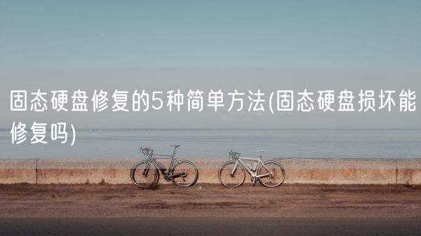 固态硬盘修复的5种简单方法(固态硬盘损坏能修复吗)(图1)