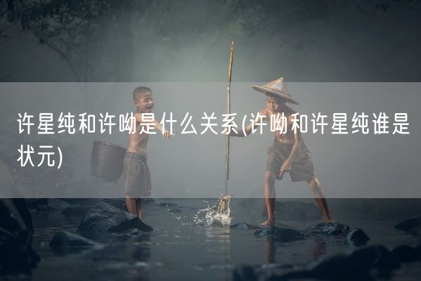 许星纯和许呦是什么关系(许呦和许星纯谁是状元)(图1)
