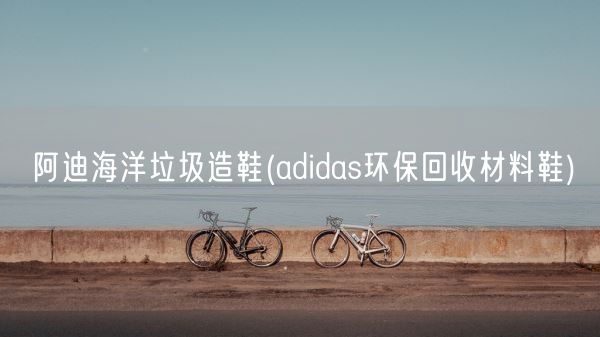 阿迪海洋垃圾造鞋(adidas环保回收材料鞋)(图1)