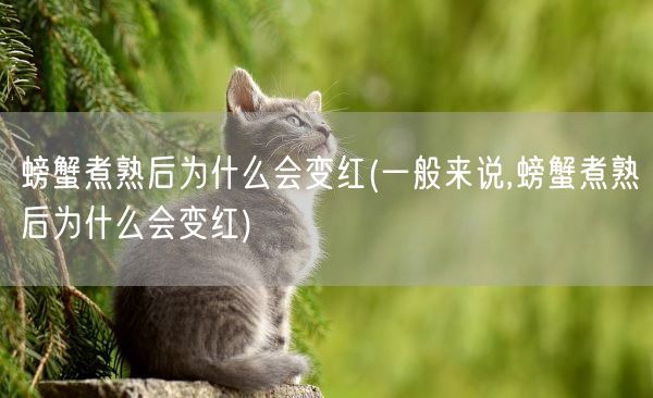 dior真我(2023古驰最火的包包)(图1) dior真我(2023古驰最火的包包)(图1)