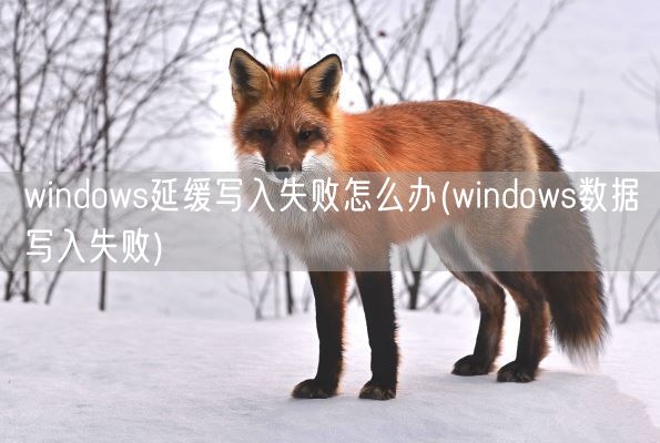 windows延缓写入失败怎么办(windows数据写入失败)(图1)