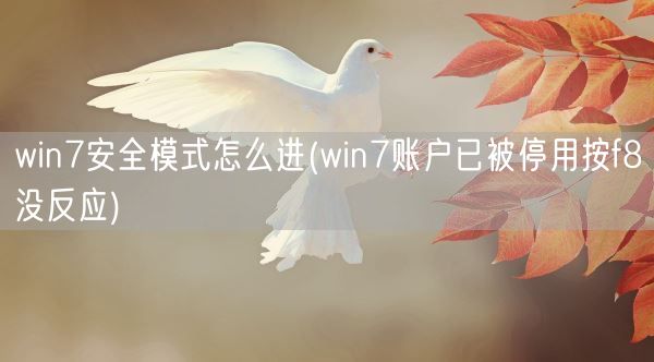 win7安全模式怎么进(win7账户已被停用按f8没反应)(图1)