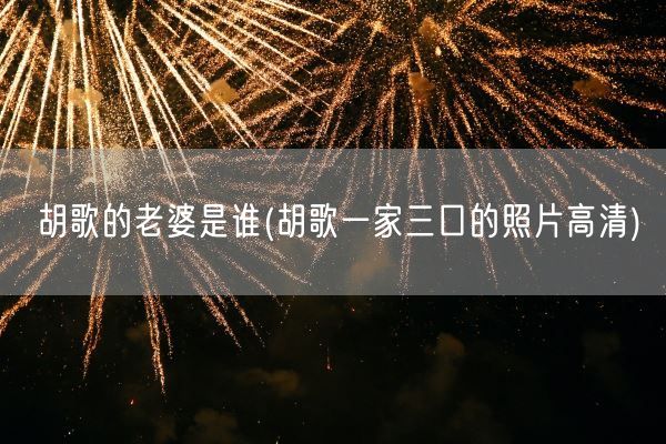 胡歌的老婆是谁(胡歌一家三口的照片高清)(图1)