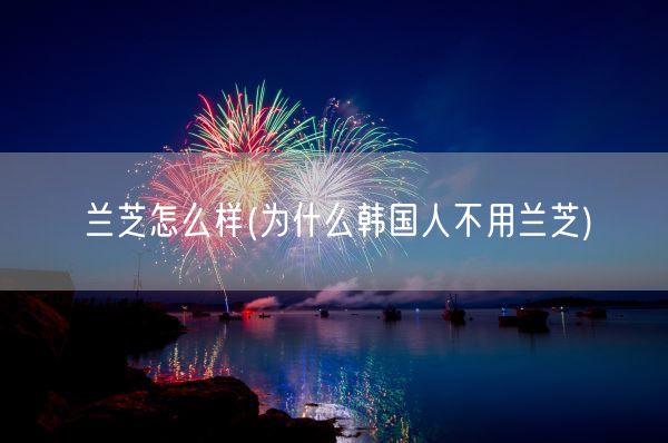 兰芝怎么样(为什么韩国人不用兰芝)(图1)