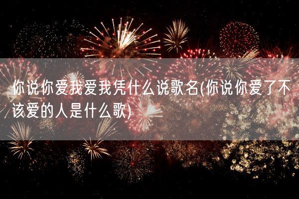 你说你爱我爱我凭什么说歌名(你说你爱了不该爱的人是什么歌)(图1)