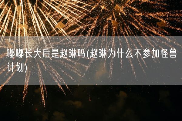 嘟嘟长大后是赵琳吗(赵琳为什么不参加怪兽计划)(图1)