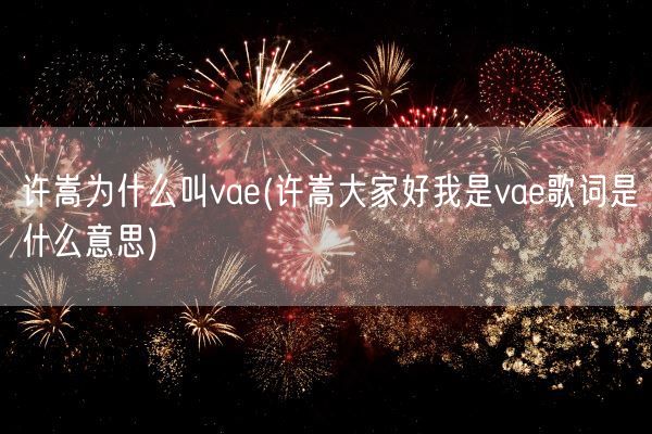 许嵩为什么叫vae(许嵩大家好我是vae歌词是什么意思)(图1)