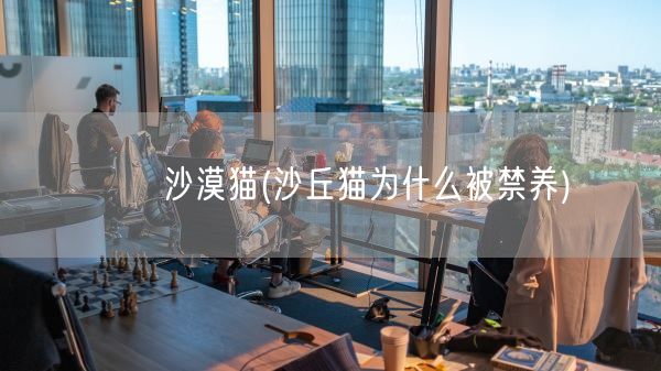 　　沙漠猫(沙丘猫为什么被禁养)(图1)