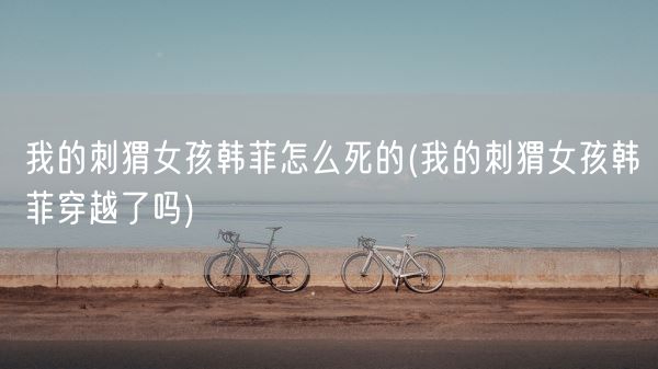 我的刺猬女孩韩菲怎么死的(我的刺猬女孩韩菲穿越了吗)(图1)