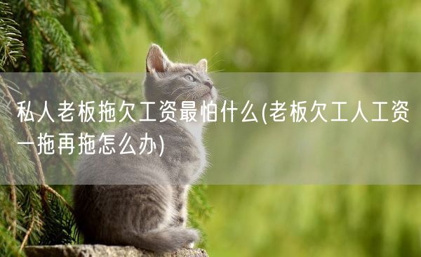 私人老板拖欠工资最怕什么(老板欠工人工资一拖再拖怎么办)(图1)