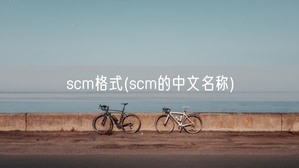 scm格式(scm的中文名称)(图1)