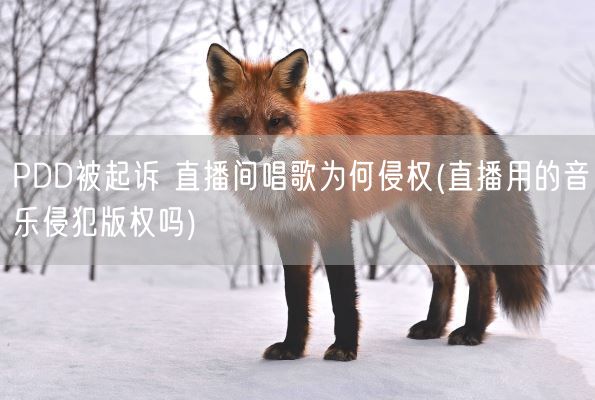 PDD被起诉 直播间唱歌为何侵权(直播用的音乐侵犯版权吗)(图1)