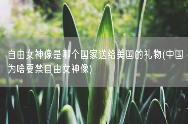 自由女神像是哪个国家送给美国的礼物(中国为啥要禁自由女神像)(图1)