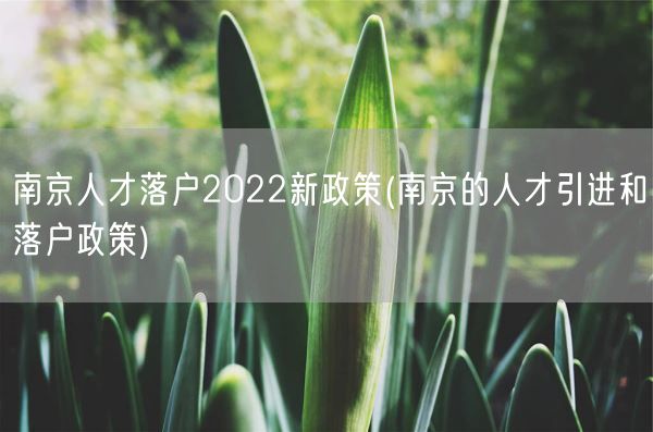 南京人才落户2022新政策(南京的人才引进和落户政策)(图1)