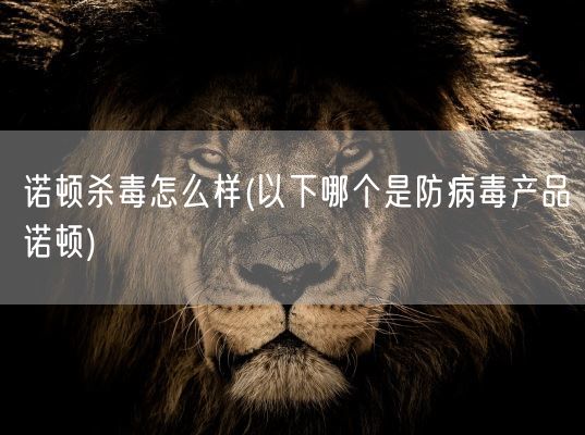 诺顿杀毒怎么样(以下哪个是防病毒产品诺顿)(图1)