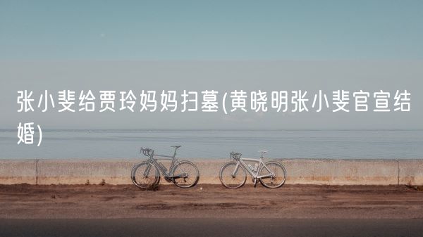 张小斐给贾玲妈妈扫墓(黄晓明张小斐官宣结婚)(图1) 张小斐给贾玲妈妈扫墓(黄晓明张小斐官宣结婚)(图1)