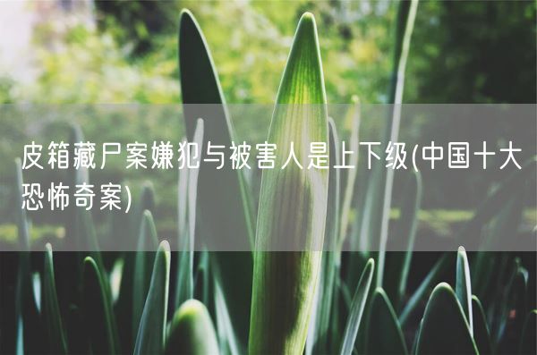 皮箱藏尸案嫌犯与被害人是上下级(中国十大恐怖奇案)(图1)