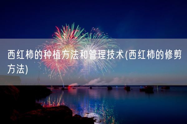 西红柿的种植方法和管理技术(西红柿的修剪方法)(图1)