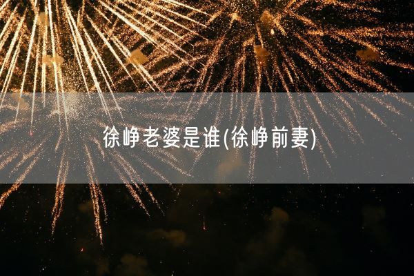 徐峥老婆是谁(徐峥前妻)(图1)