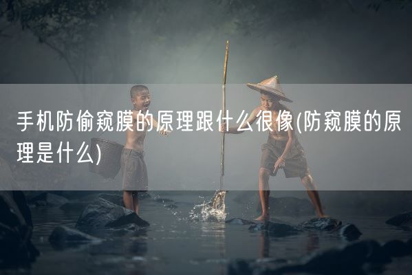 手机防偷窥膜的原理跟什么很像(防窥膜的原理是什么)(图1)