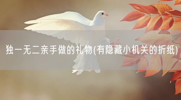 独一无二亲手做的礼物(有隐藏小机关的折纸)(图1)