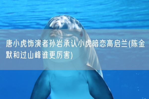 唐小虎饰演者孙岩承认小虎暗恋高启兰(陈金默和过山峰谁更厉害)(图1)