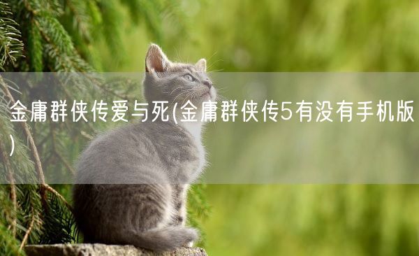 金庸群侠传爱与死(金庸群侠传5有没有手机版)(图1)