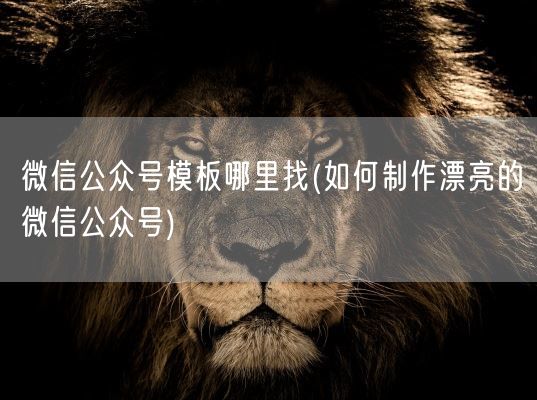 微信公众号模板哪里找(如何制作漂亮的微信公众号)(图1)